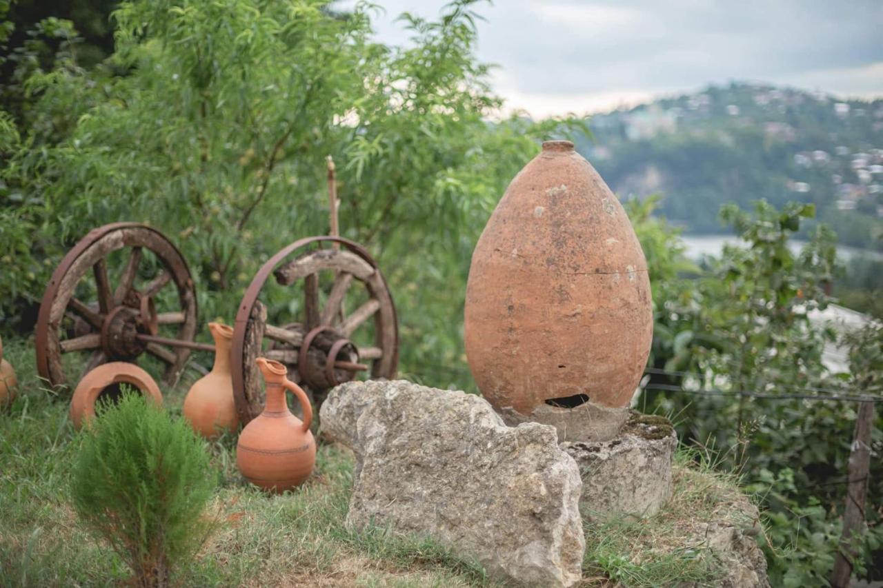 Green House Guest House Κουτάισι Εξωτερικό φωτογραφία