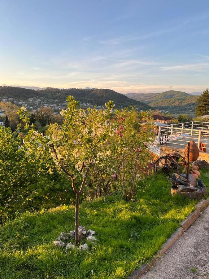 Green House Guest House Κουτάισι Εξωτερικό φωτογραφία